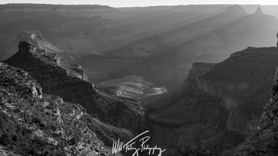 Arizona