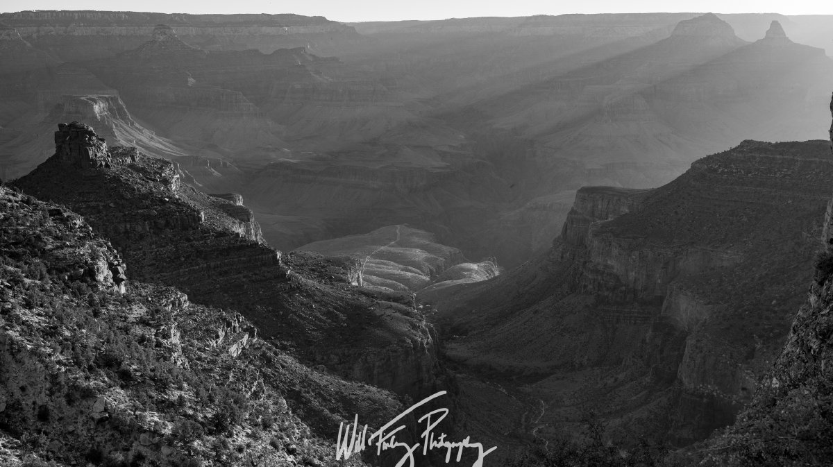 Arizona