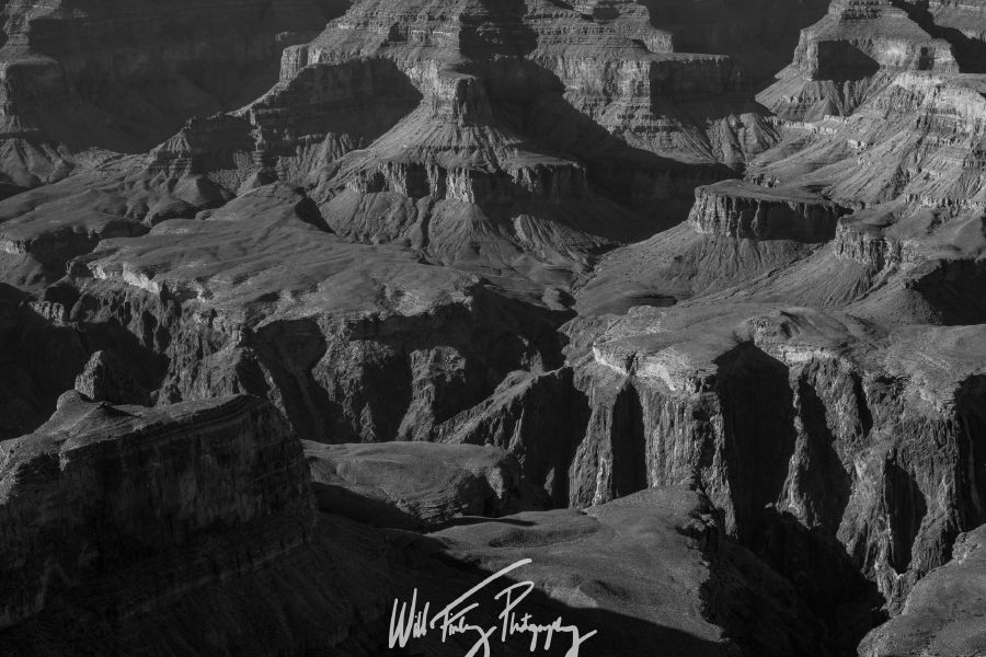 Arizona
