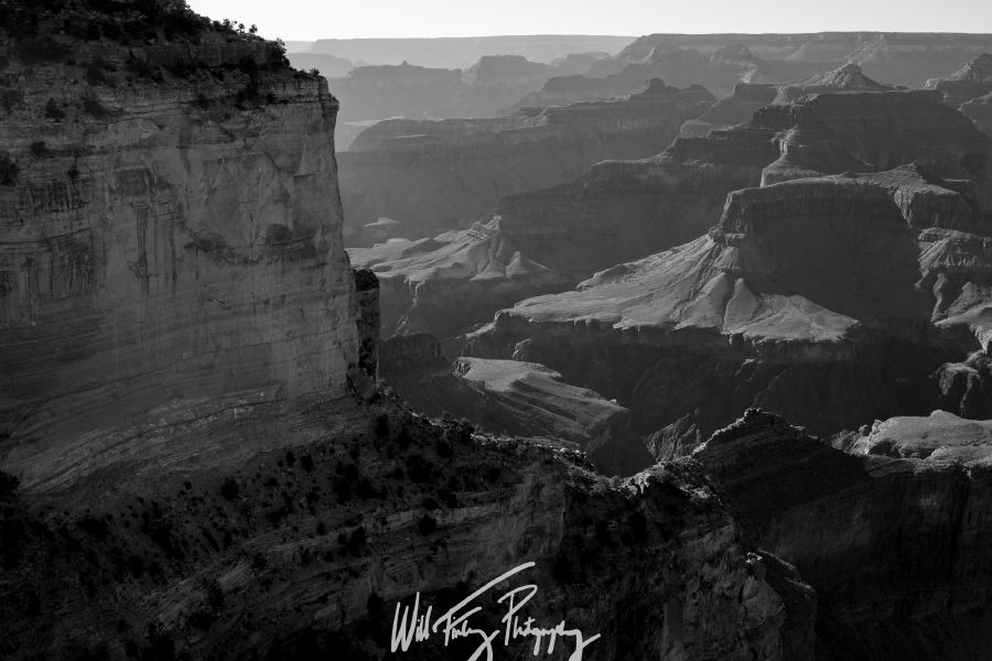 Arizona