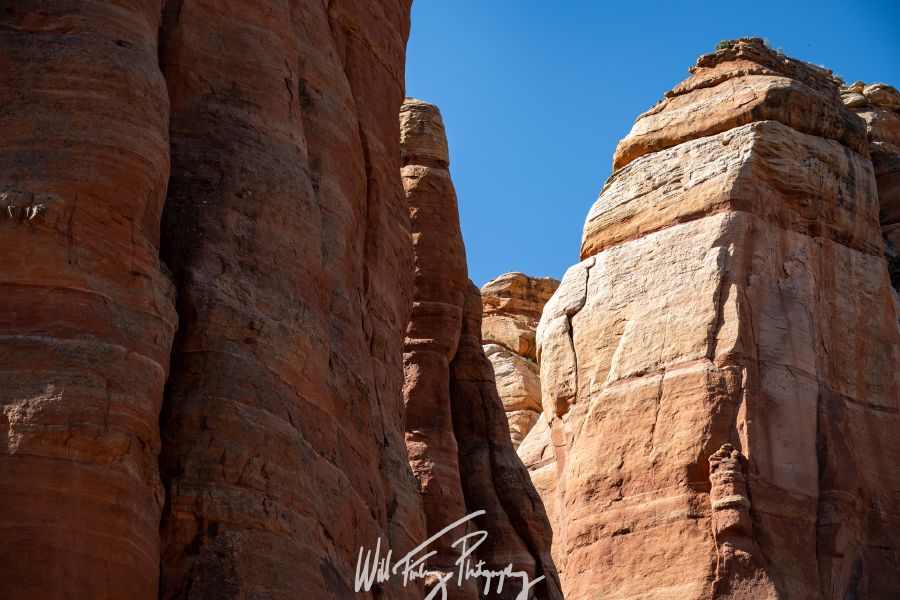 Arizona