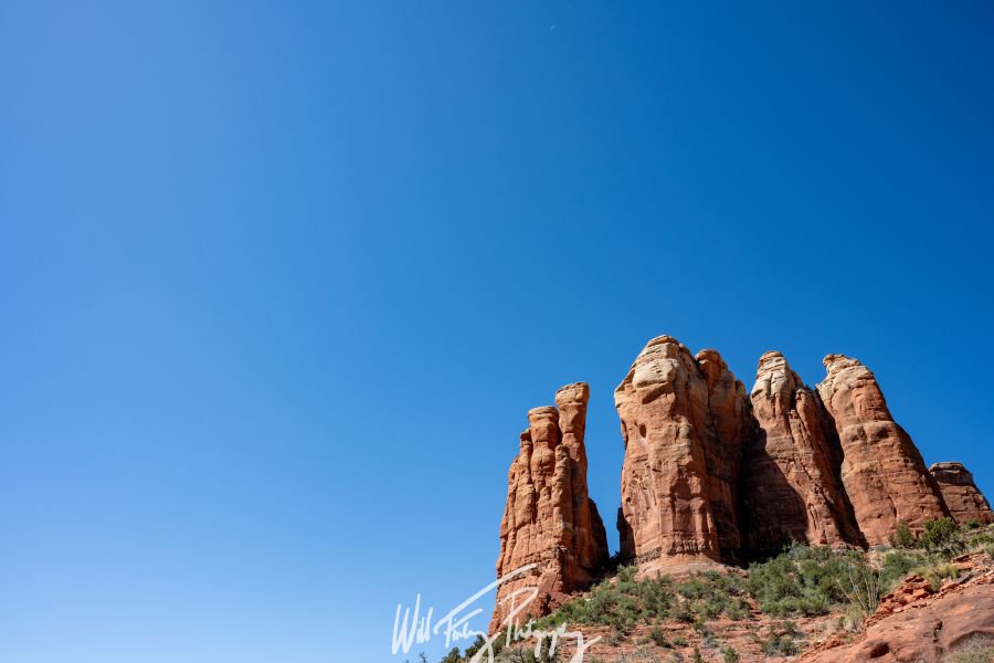 Arizona