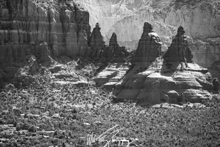 Arizona