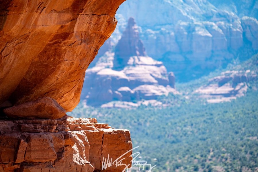 Arizona