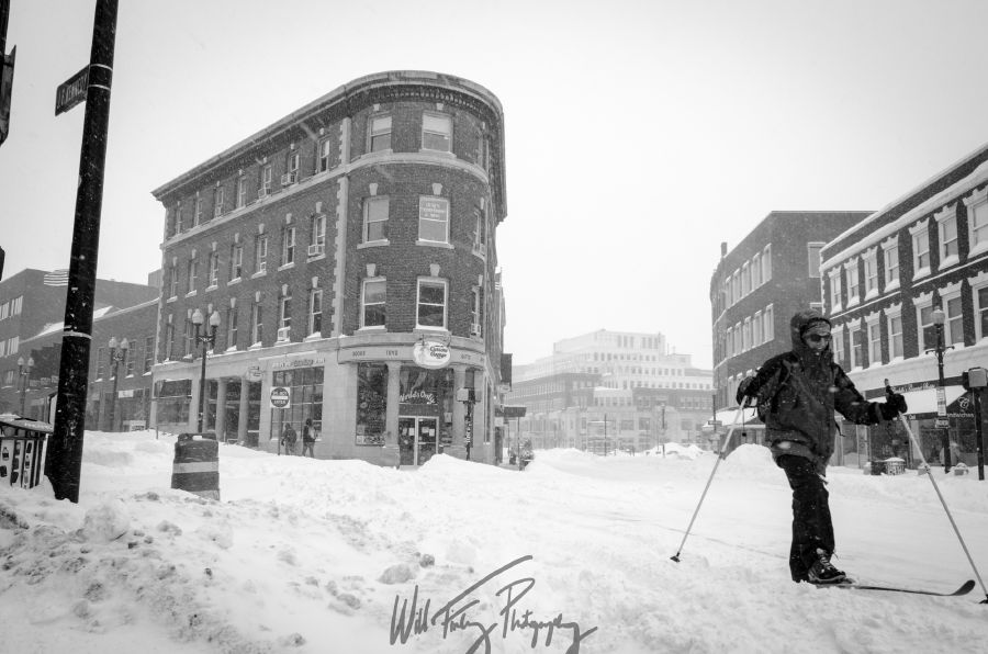 Harvard Snowstorm