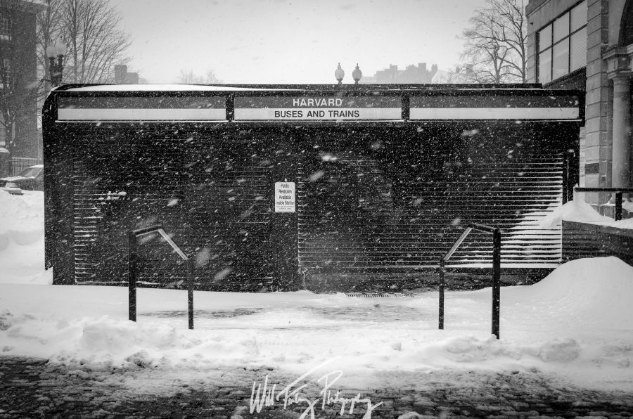 Harvard Snowstorm