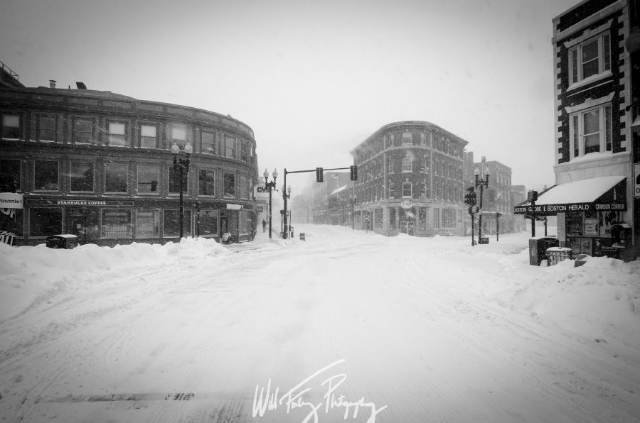 Harvard Snowstorm