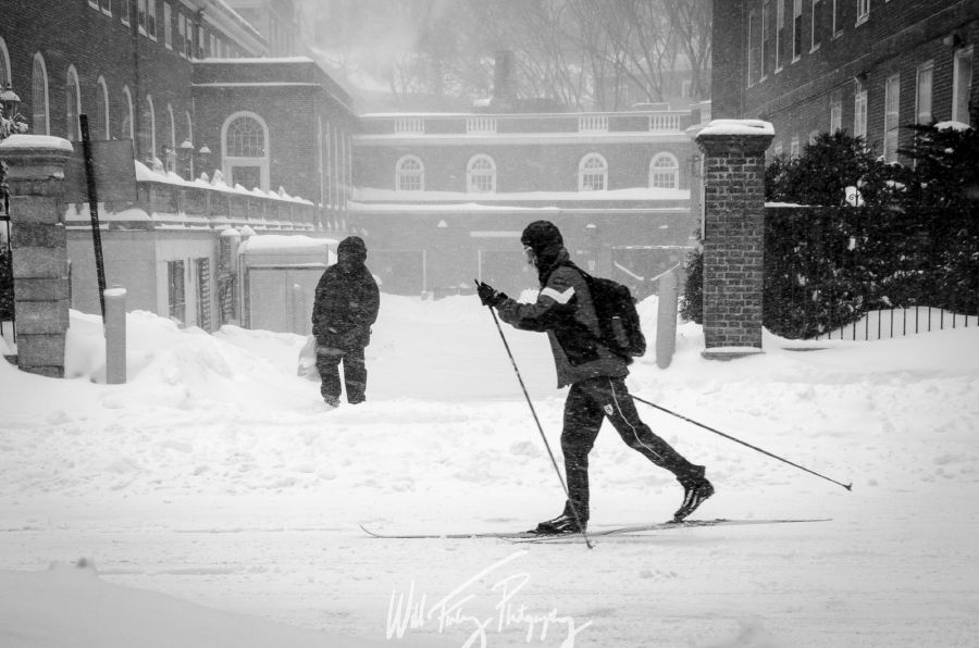 Harvard Snowstorm