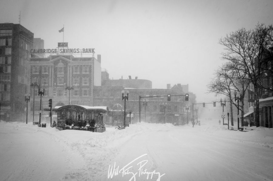 Harvard Snowstorm