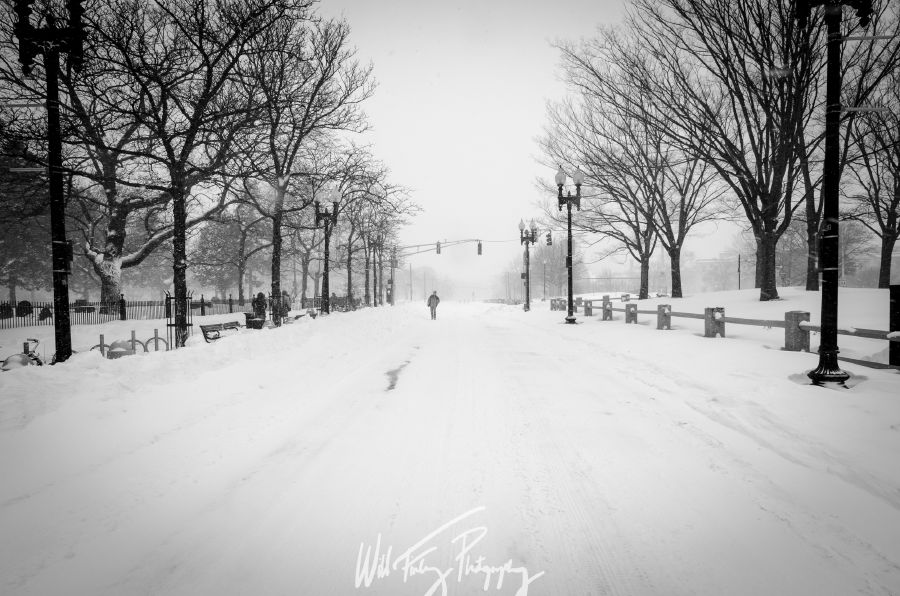 Harvard Snowstorm