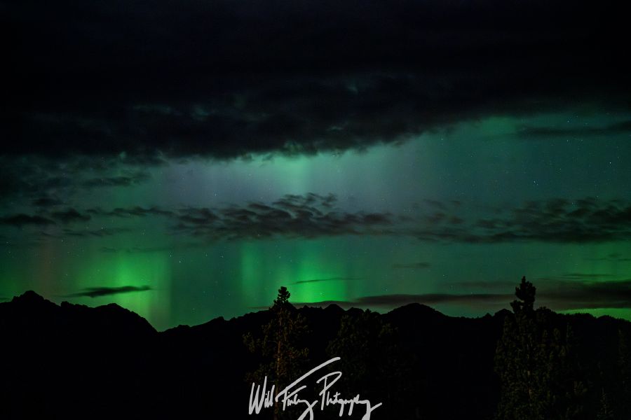 Montana
