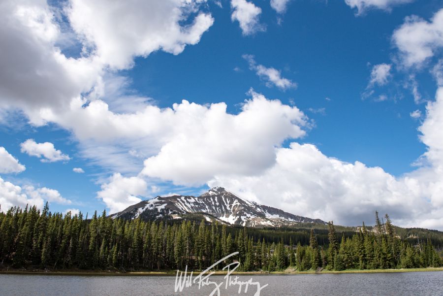 Montana