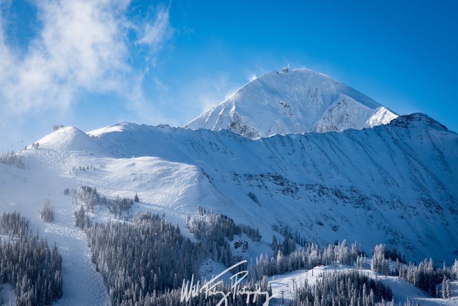 Montana
