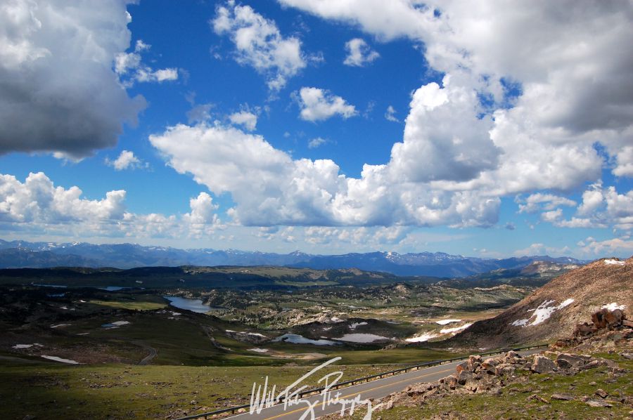 Montana
