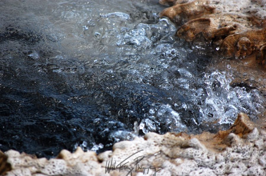 Yellowstone