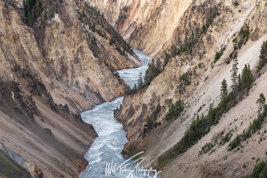 Yellowstone