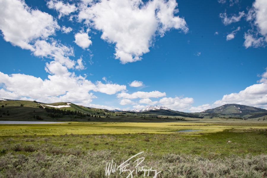 Yellowstone