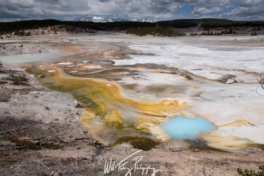 Yellowstone