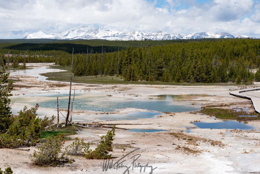Yellowstone