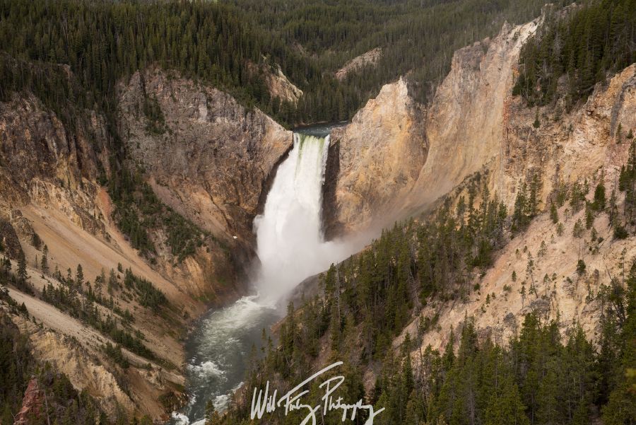Yellowstone