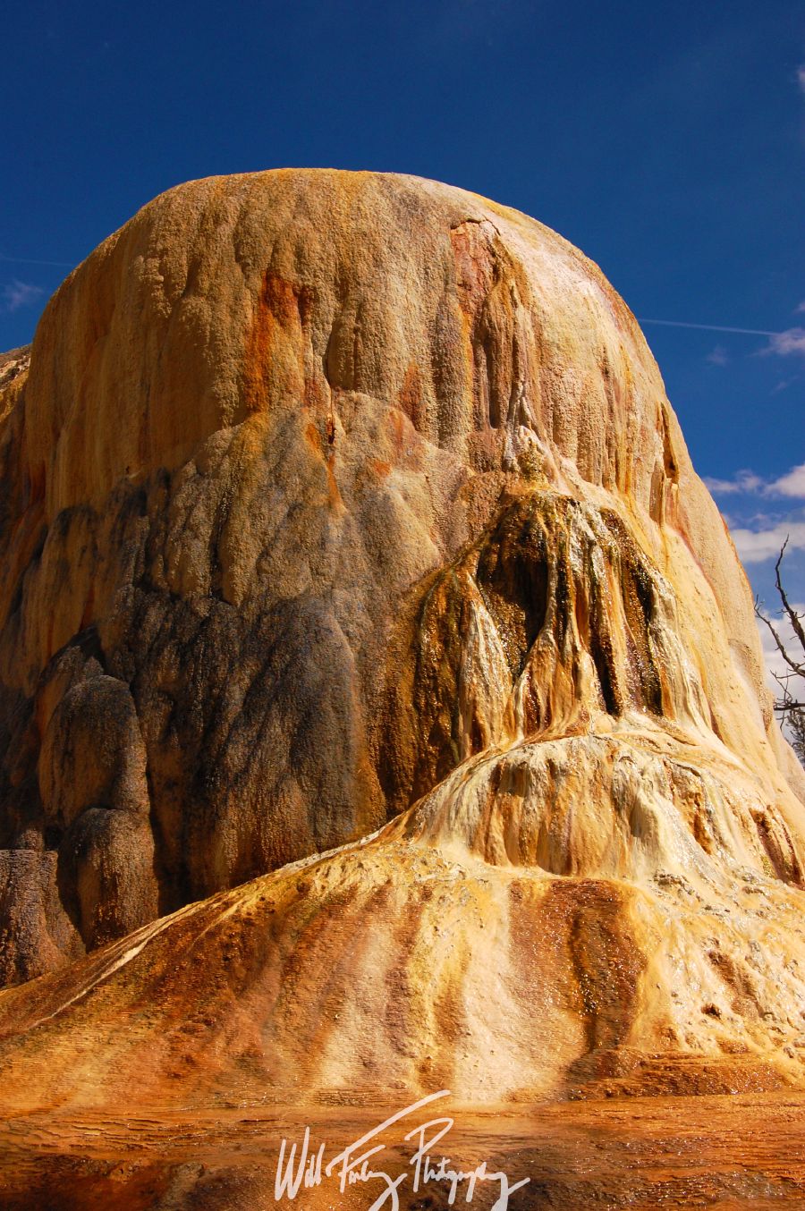 Yellowstone