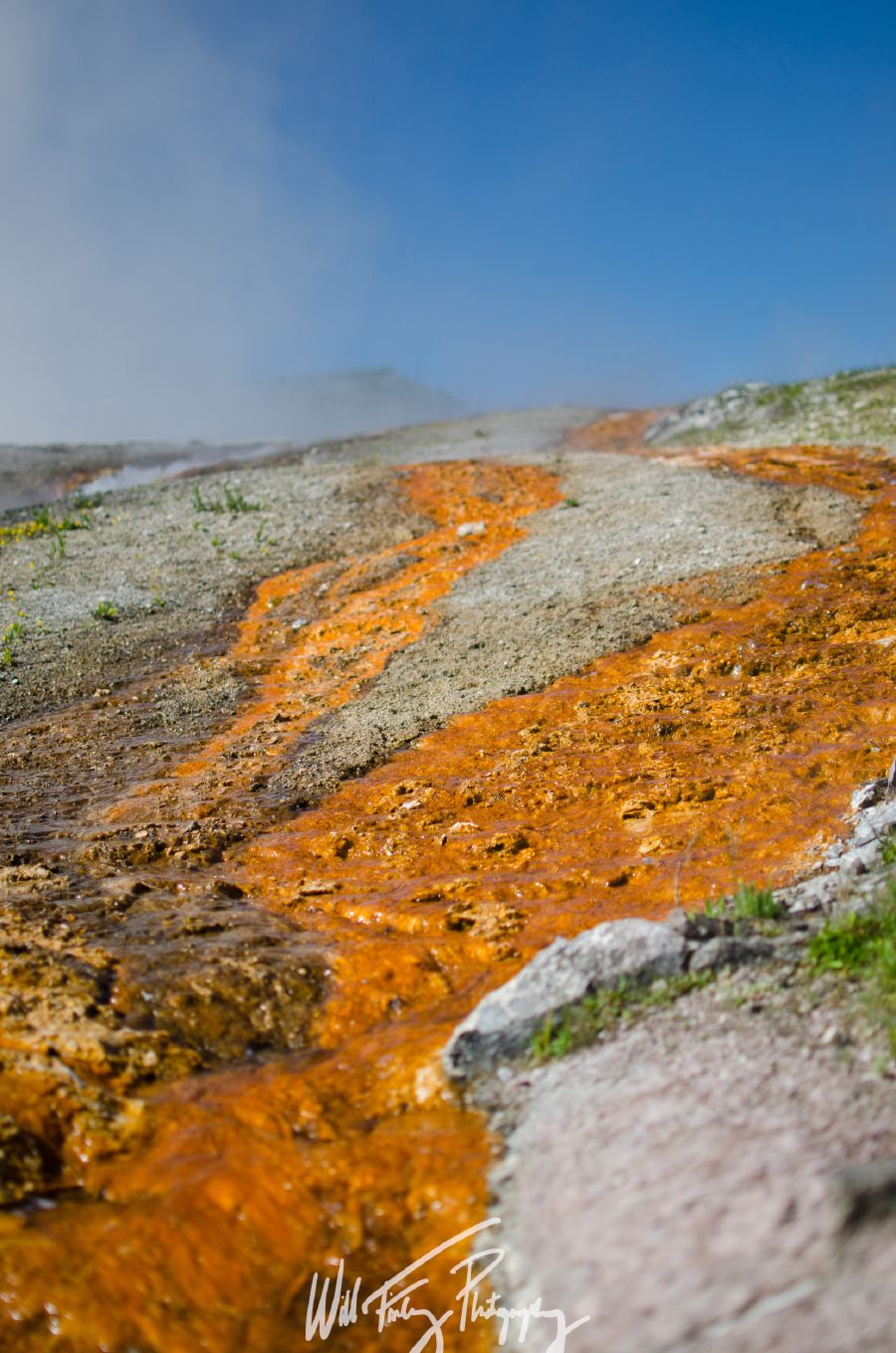 Yellowstone